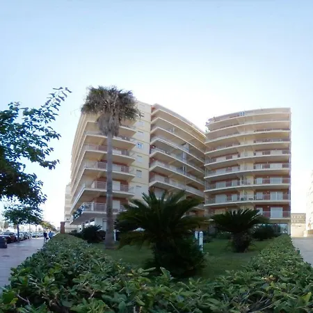 Primera Linea Caracola View Gandie
